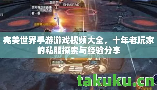 十年老玩家的私服探索与经验分享图片