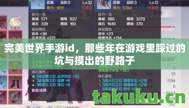那些年在游戏里踩过的坑与摸出的野路子图片