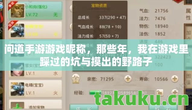 我在游戏里踩过的坑与摸出的野路子图片