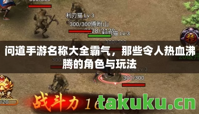 那些令人热血沸腾的角色与玩法图片