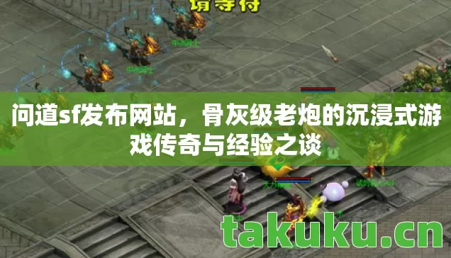 骨灰级老炮的沉浸式游戏传奇与经验之谈图片
