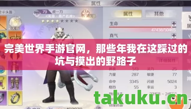 那些年我在这踩过的坑与摸出的野路子图片