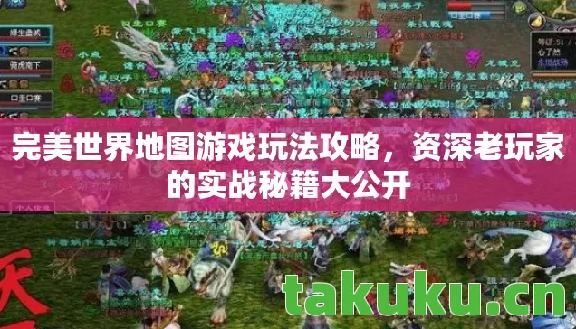 资深老玩家的实战秘籍大公开图片