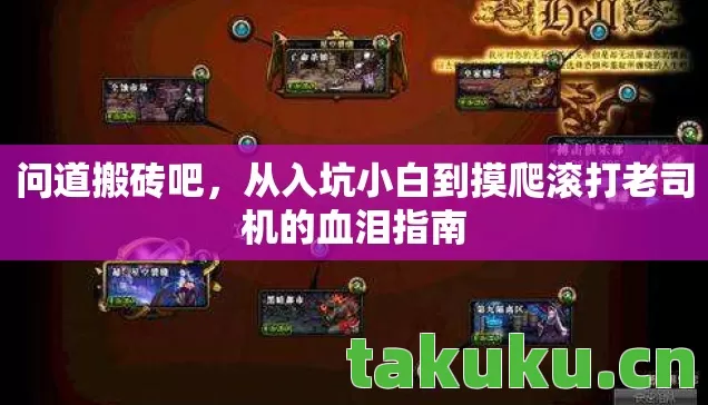 从入坑小白到摸爬滚打老司机的血泪指南图片