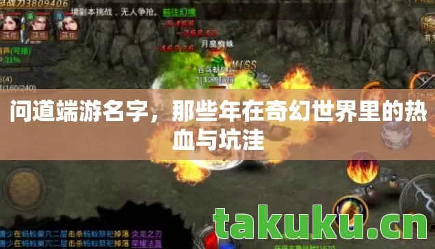 那些年在奇幻世界里的热血与坑洼图片