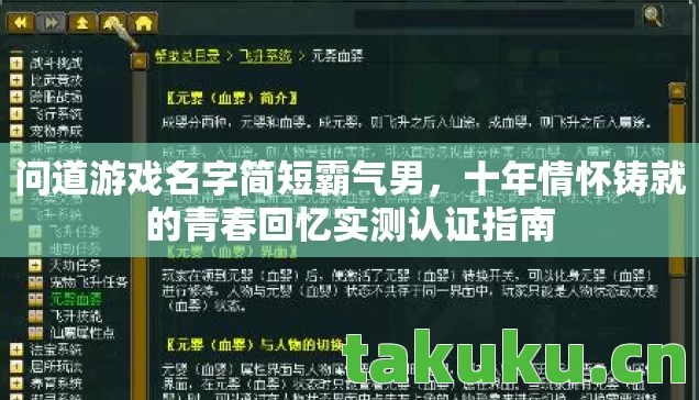 十年情怀铸就的青春回忆实测认证指南图片