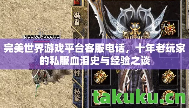 十年老玩家的私服血泪史与经验之谈图片