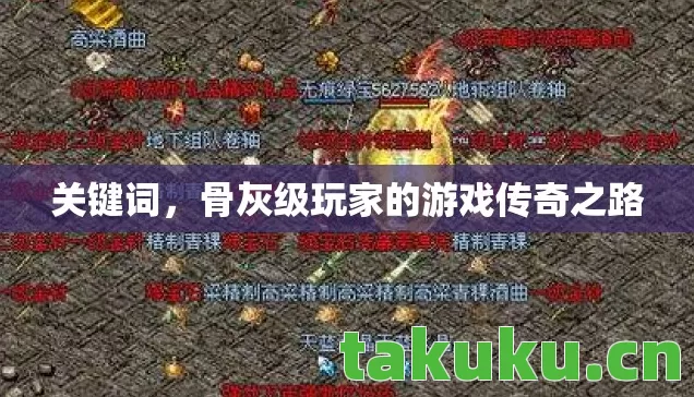 骨灰级玩家的游戏传奇之路图片