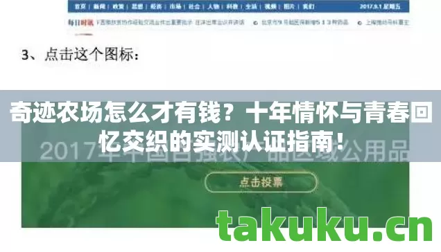 十年情怀与青春回忆交织的实测认证指南图片