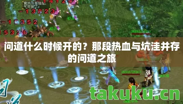 那段热血与坑洼并存的问道之旅图片