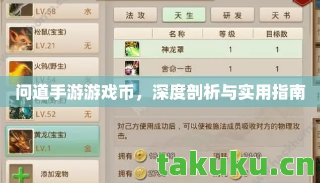 深度剖析与实用指南图片