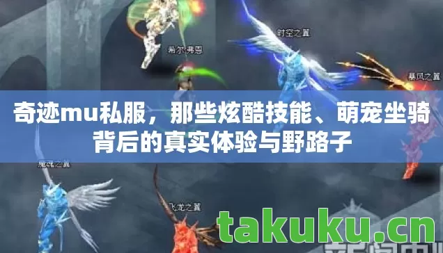 萌宠坐骑背后的真实体验与野路子图片