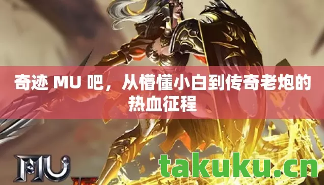 从懵懂小白到传奇老炮的热血征程图片