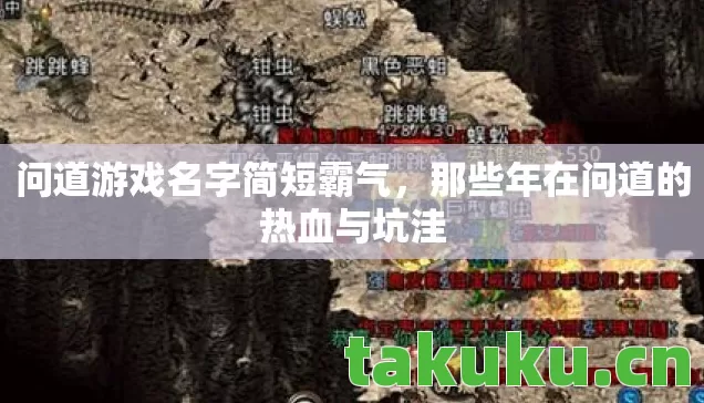 问道游戏名字简短霸气,那些年在问道的热血与坑洼 问道游戏名字简短霸气,那些年在问道的热血与坑洼