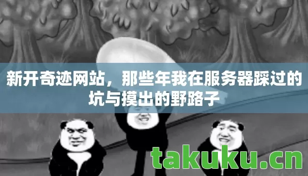 那些年我在服务器踩过的坑与摸出的野路子图片