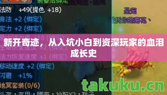 从入坑小白到资深玩家的血泪成长史图片