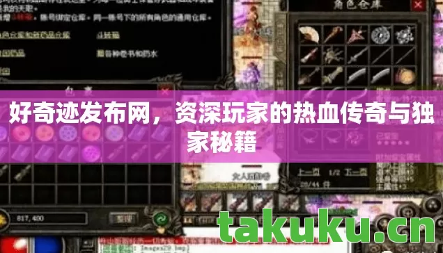 资深玩家的热血传奇与独家秘籍图片