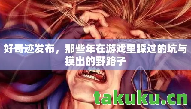 那些年在游戏里踩过的坑与摸出的野路子图片