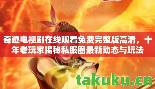 十年老玩家揭秘私服圈最新动态与玩法图片