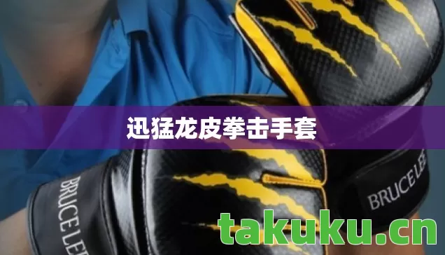 迅猛龙皮拳击手套