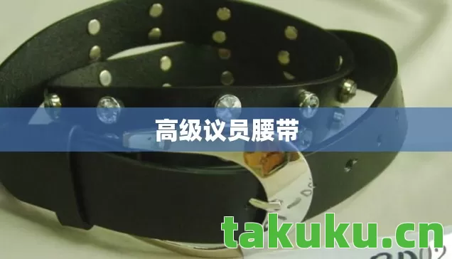 高级议员腰带 高级议员腰带