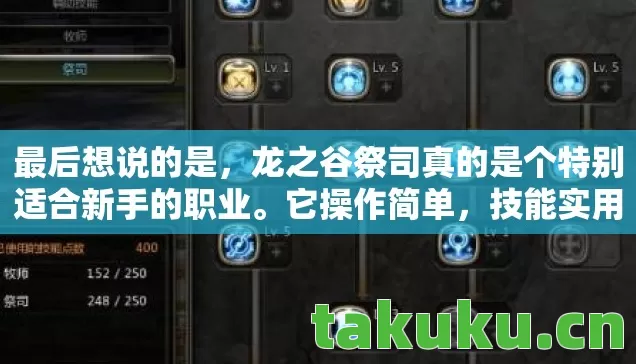 龙之谷祭司真的是个特别适合新手的职业图片