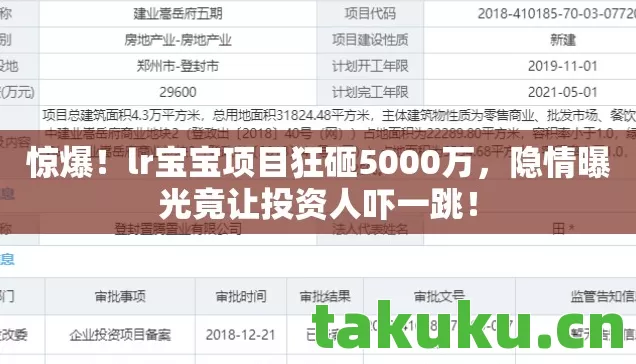lr宝宝项目狂砸5000万图片