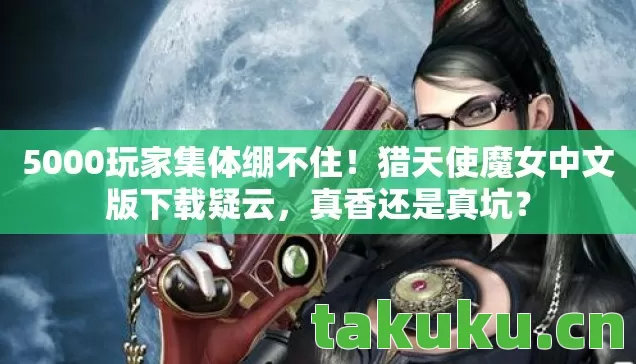猎天使魔女中文版下载疑云图片