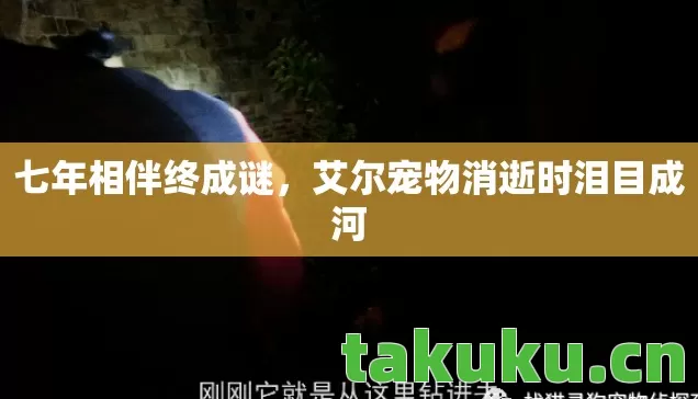 艾尔宠物消逝时泪目成河图片