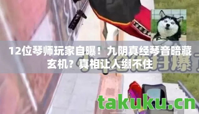 九阴真经琴音暗藏玄机图片