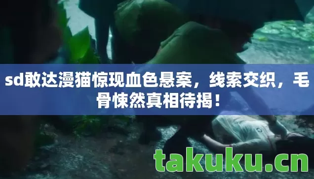 sd敢达漫猫惊现血色悬案，线索交织，毛骨悚然真相待揭！