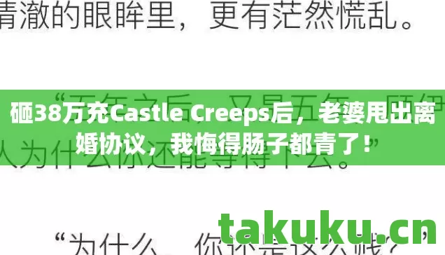 砸38万充Castle Creeps后图片