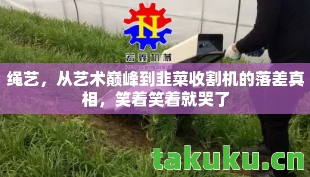 从艺术巅峰到韭菜收割机的落差真相图片