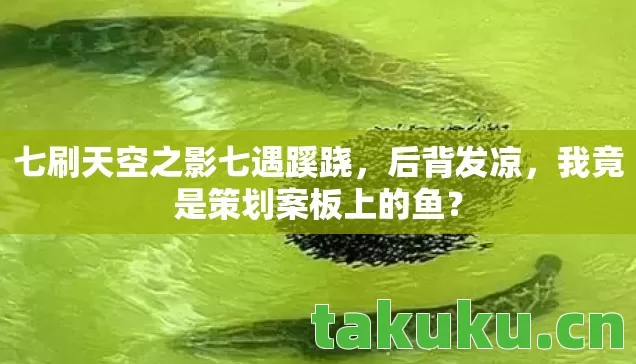 七刷天空之影七遇蹊跷，后背发凉，我竟是策划案板上的鱼？