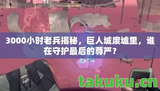 3000小时老兵揭秘图片