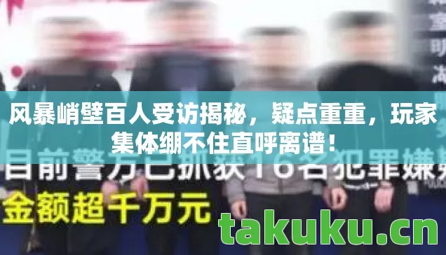 风暴峭壁百人受访揭秘，疑点重重，玩家集体绷不住直呼离谱！