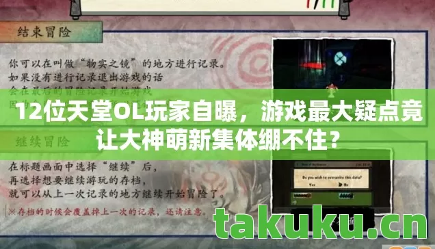 12位天堂OL玩家自曝,游戏最大疑点竟让大神萌新集体绷不住? 12位天堂OL玩家自曝,游戏最大疑点竟让大神萌新集体绷不住?