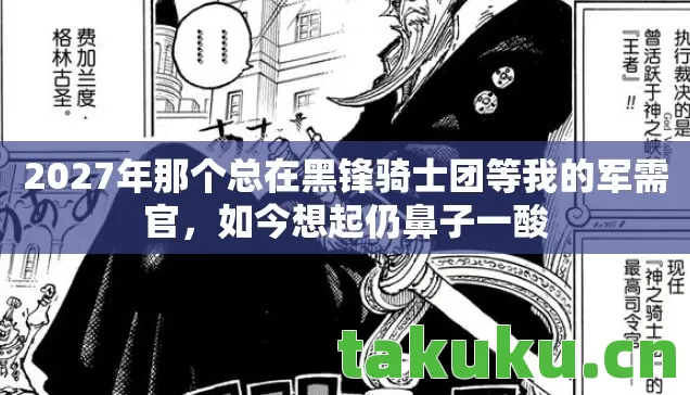 2027年那个总在黑锋骑士团等我的军需官图片