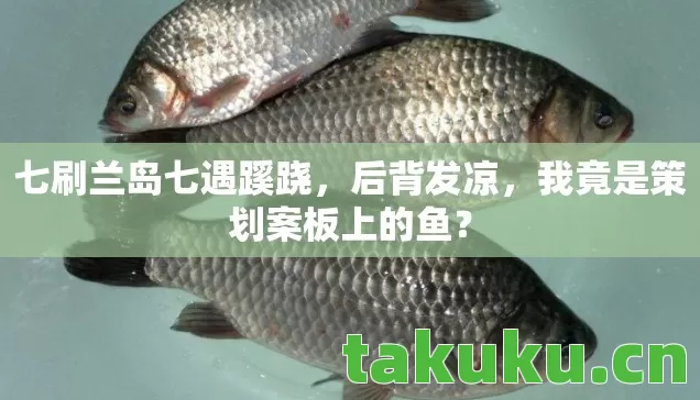 我竟是策划案板上的鱼图片