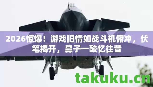 游戏旧情如战斗机俯冲图片