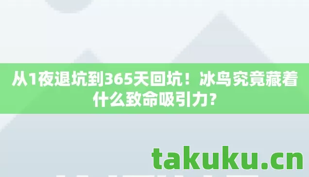 冰鸟究竟藏着什么致命吸引力图片