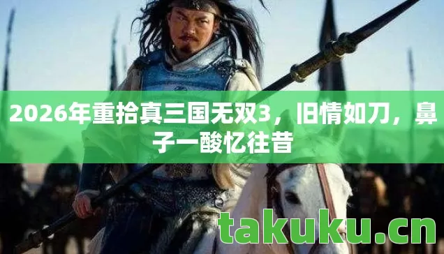2026年重拾真三国无双3图片