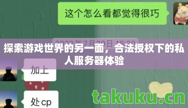 合法授权下的私人服务器体验图片