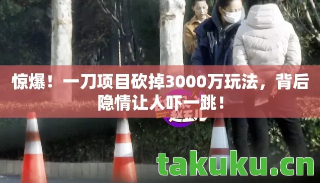 惊爆！一刀项目砍掉3000万玩法，背后隐情让人吓一跳！