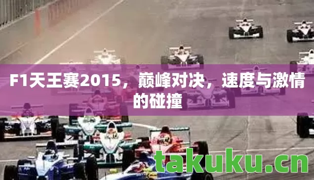 F1天王赛2015图片