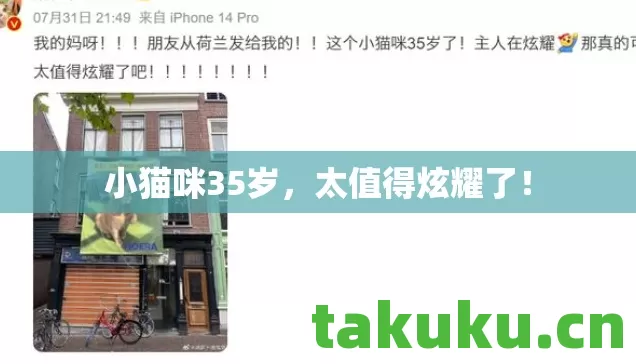 小猫咪35岁图片