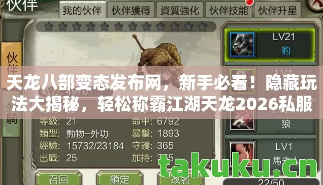 轻松称霸江湖天龙2026私服图片
