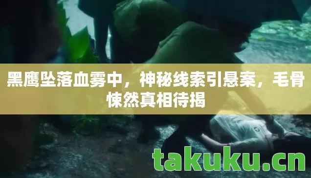 黑鹰坠落血雾中,神秘线索引悬案,毛骨悚然真相待揭 黑鹰坠落血雾中,神秘线索引悬案,毛骨悚然真相待揭