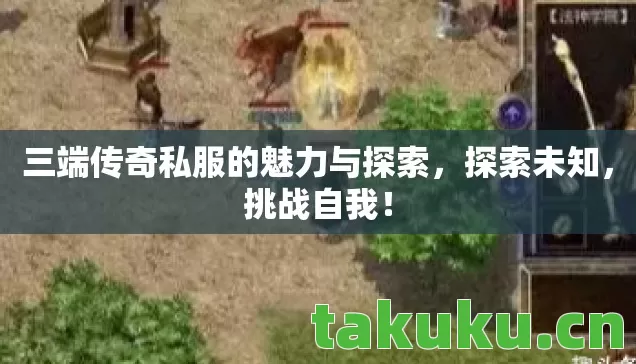 三端传奇私服的魅力与探索图片