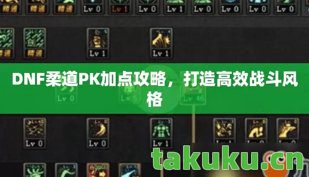 DNF柔道PK加点攻略图片